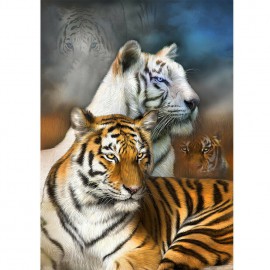 Fehér és barna tigrisek egy képen kreatív gyémántkirakó készlet