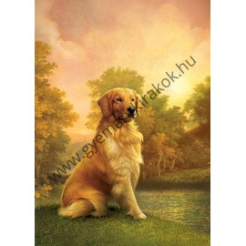 Arany szőrű Golden Retriver kutya kreatív gyémánt kirakó készlet