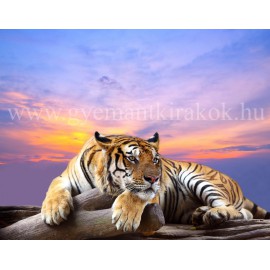 Sziklán fekvő tigris színes háttérrel kreatív gyémánt kirakó készlet