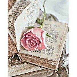 Világos rózsaszín rózsaszál könyvvel kreatív gyémánt kirakó készlet