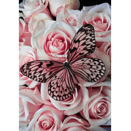 Rózsaszín rózsák középen rózsaszín pillangóval kreatív gyémánt kirakó készlet