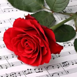 Vörös rózsa kotta háttérrel kreatív gyémánt kirakó készlet