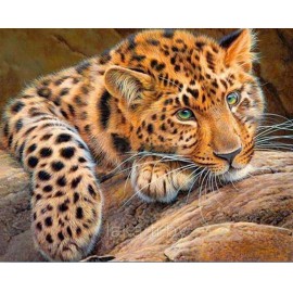 Pihenő leopárd kreatív gyémánt kirakó készlet