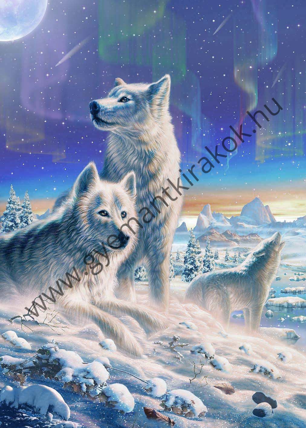 Fehér farkasok a havas tájon kreatív gyémánt kirakó készlet