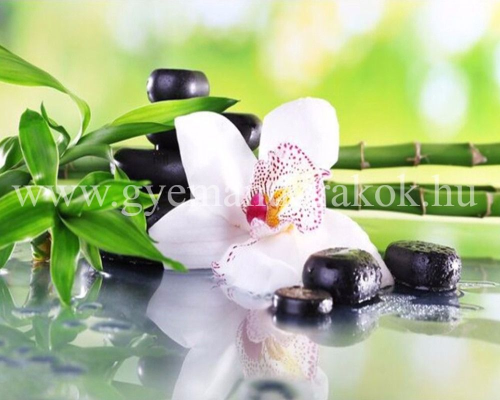 Wellness fehér orchideával és bambuszággal kreatív gyémánt kirakó készlet