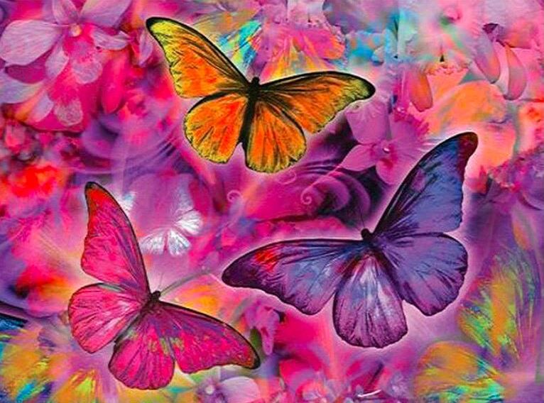 Három színes pillangó rózsaszínes színvilágban kreatív gyémánt kirakó készlet