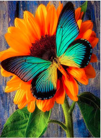 Élénkszínű pillangó és virág kompozíció kreatív gyémánt kirakó készlet