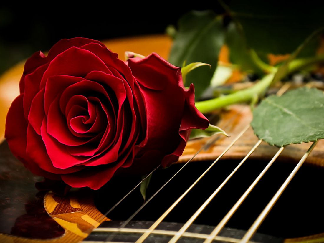 Vörös rózsa gitáron kreatív gyémánt kirakó készlet