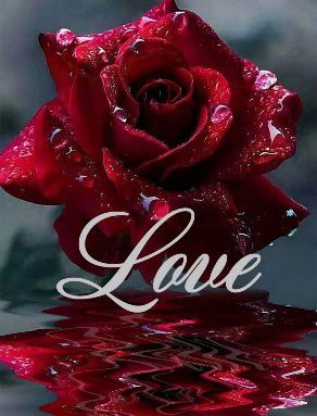 Vörös rózsa Love felirattal kreatív gyémánt kirakó készlet